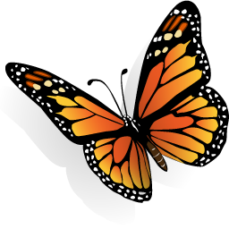 Bright and Beautiful Butterfly Check Designs – We found the best