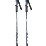 Best trekking poles