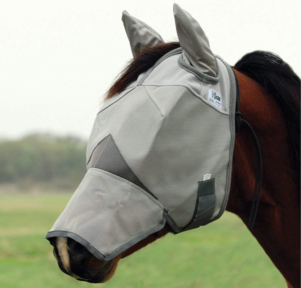 Best Fly Mask for Horses - Top 4 Masks Reviewed - The Best Product Reviews