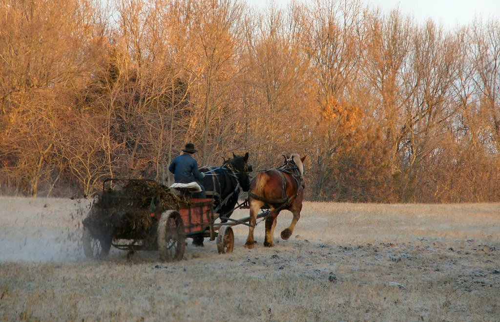 Tow Behind spreader