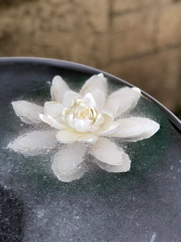 A stunning white water lily frozen in ice, showcasing natural beauty and tranquility.