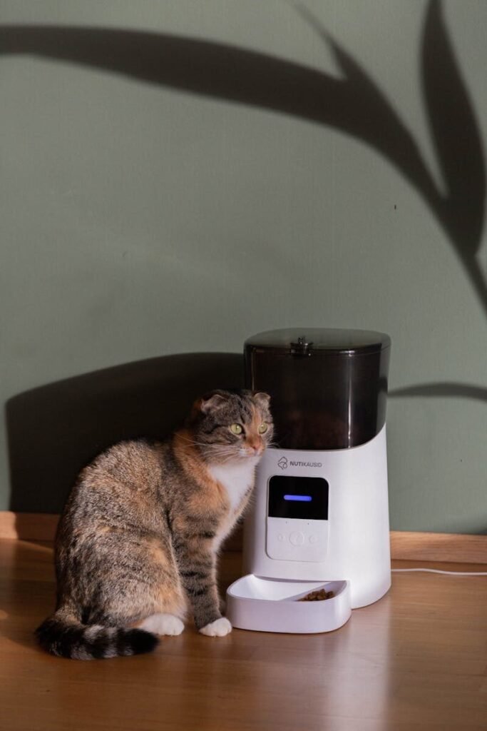 Modern smart automatic dog/cat feeder with app control