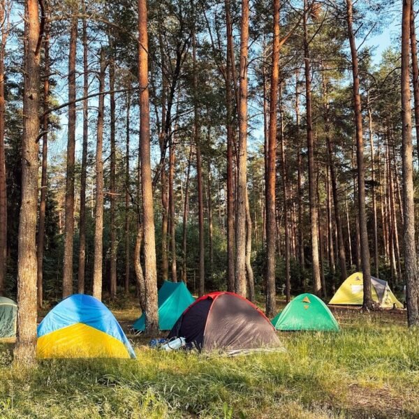 What to Look for in a Camping Tent - Dome tent pitched at a wooded campsite with morning light