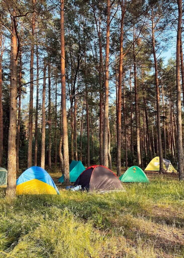 Dome tent pitched at a wooded campsite with morning light