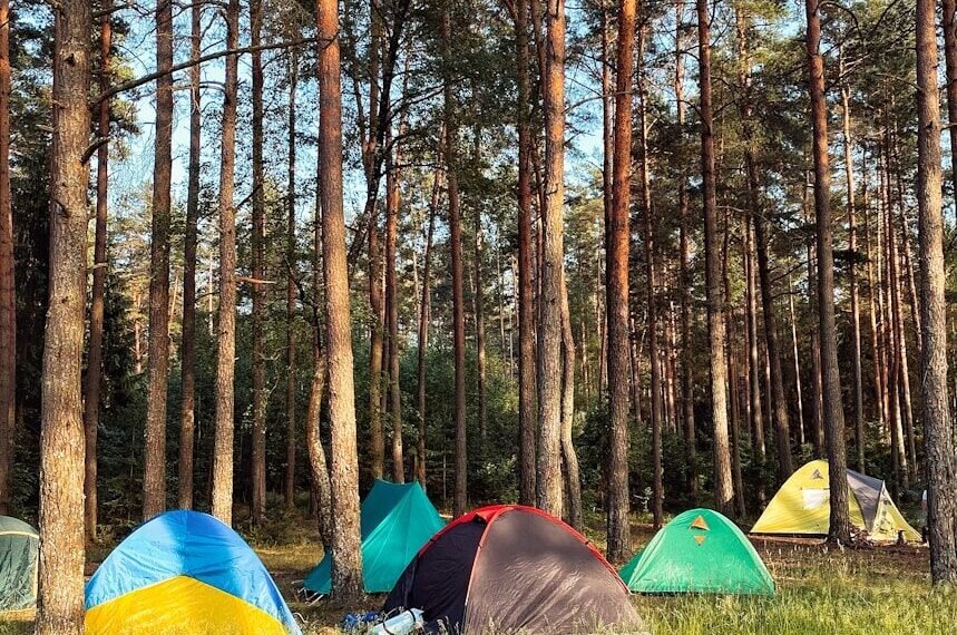 What to Look for in a Camping Tent - Dome tent pitched at a wooded campsite with morning light