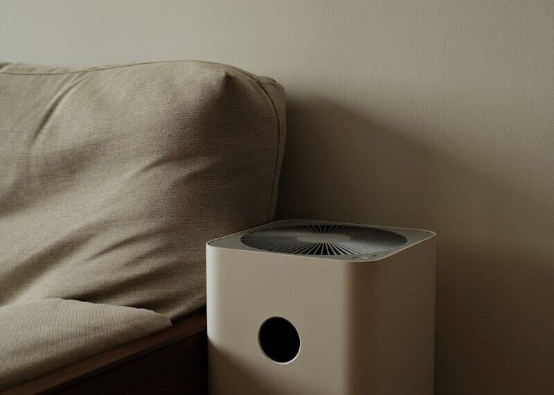 Best UV-C Air Purifier for Viruses