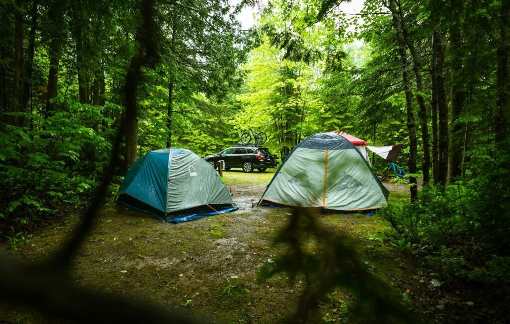 Two dome waterproof tents installed deep in forest for survival trip